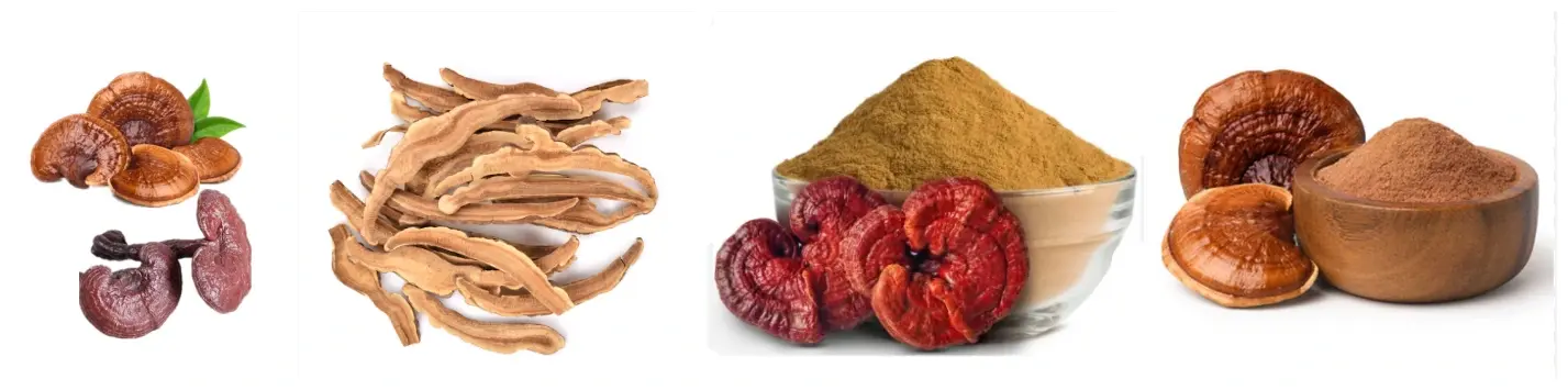 MiMouseShot20241118121829_副本.webp MiMouseShot20241118121829_副本.webp