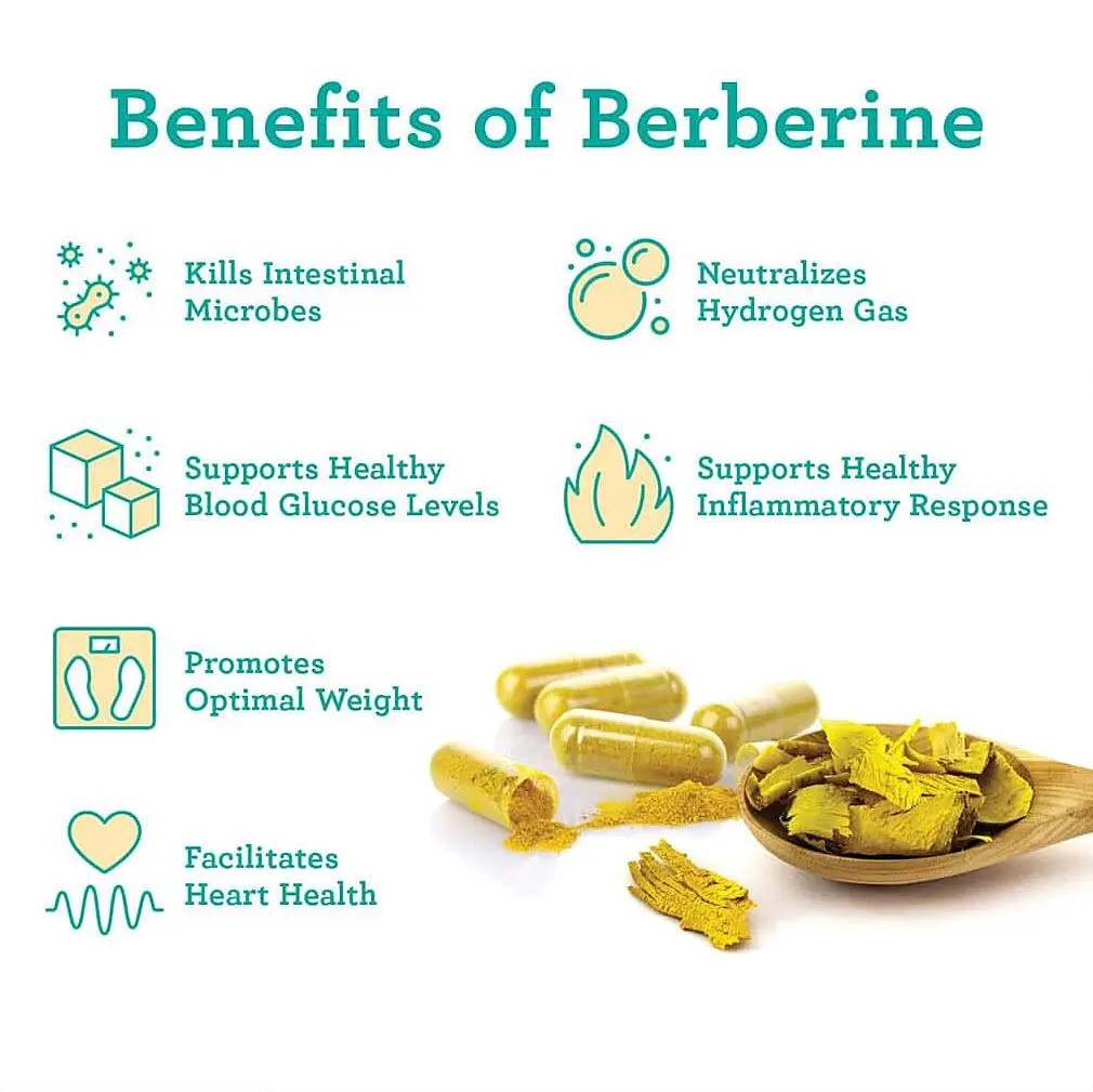 Article_What-are-Berberine-Benefits-for-SIBO__Infographic_202212-1024x1024.jpg