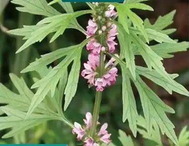 product-1-1 product-1-1