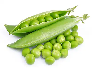 product-1-1 product-1-1