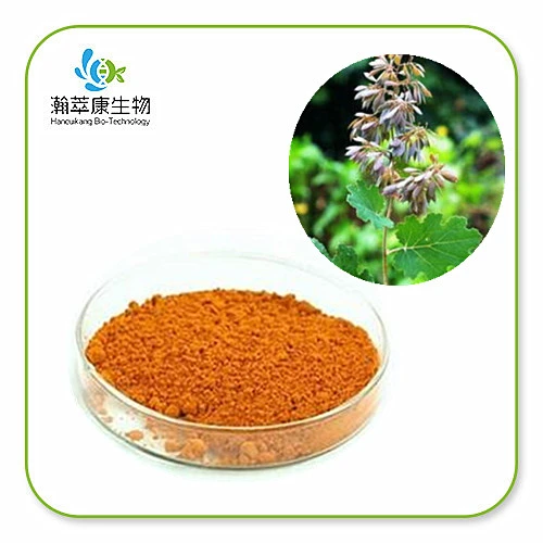 Macleaya cordata extract