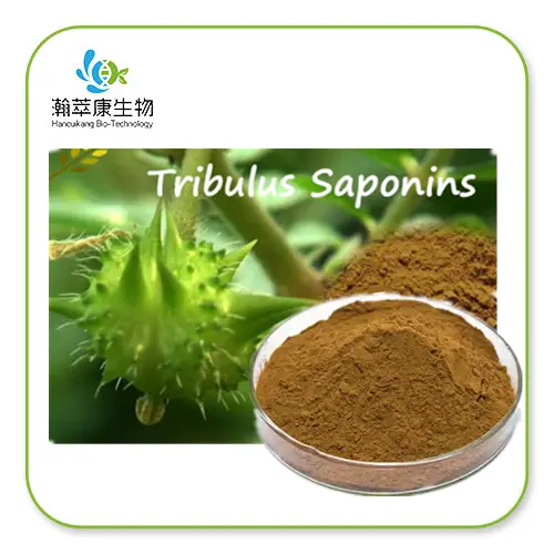 Tribulus Terrestris 40% Saponin Libido Male Hormone Enhances Muscle Strength