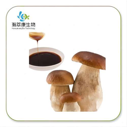 Liquid Mushroom Extract